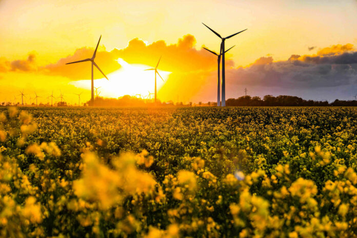 Scenic View Of Sunflower Field Against Sky During Sunset