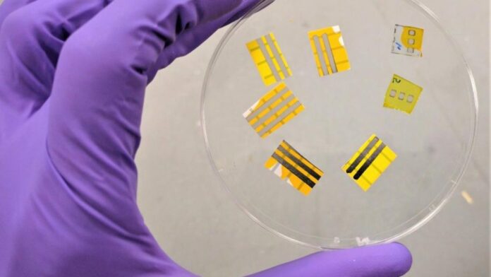smart-oled-tattoos-engineers-create-light-emitting-tattoo
