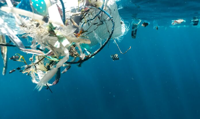 naja-bertolt-jensen-2St3S36Gu7w-unsplash