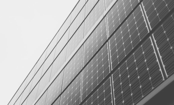 Vince la Sostenibilità, anche al PNI 2021 | Osservatorio C Quadra