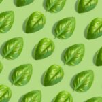 In Brianza, la Vertical Farm più Hi-Tech al Mondo