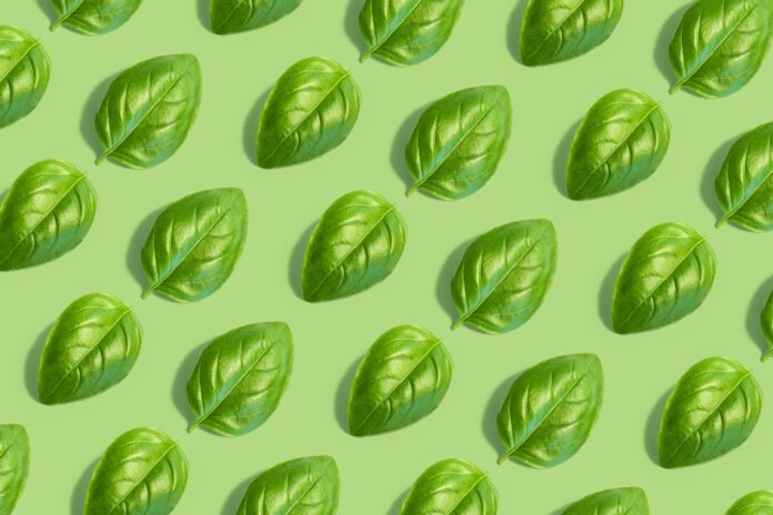 In Brianza, la Vertical Farm più Hi-Tech al Mondo | Osservatorio C Quadra
