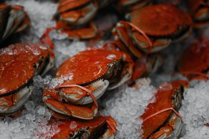 Biocrab: dal carapace dei crostacei una carta da parati ecologica e sostenibile | Osservatorio C Quadra